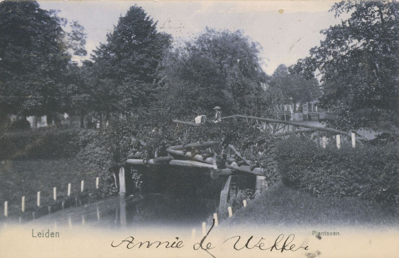 Rustieke brug over het Levendaal 1905.jpg